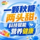 金秋金陵，全国糖酒会第115届秋季盛典，食饮人不可错过的未来之约